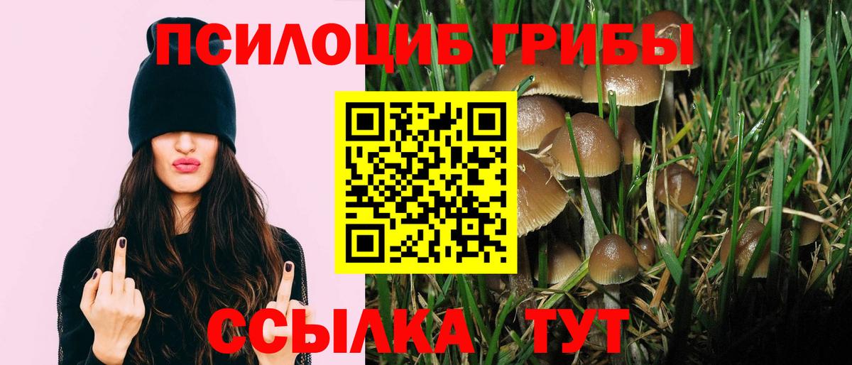 Галлюциногенные грибы Psilocybe  Галлюциногенные грибы мицелий  Вход с VPN  Среднеуральск 