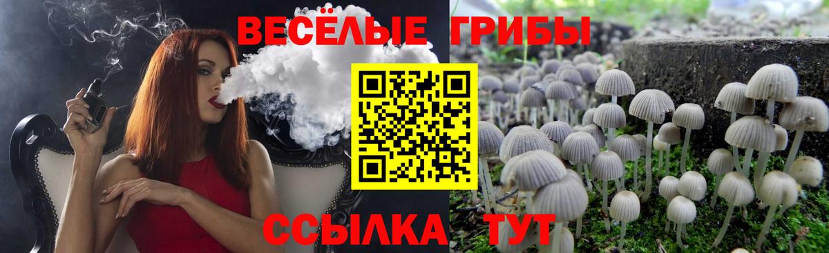 Псилоцибиновые грибы прущие грибы Среднеуральск